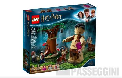LEGO HARRY POTTER LA FORESTA PROIBITA : L'INCONTRO CON LA UMBRIDGE 75967